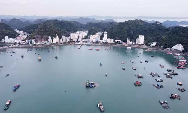 Hai lần đấu giá bất thành tài sản làm dự án du lịch cao cấp ở Cát Bà