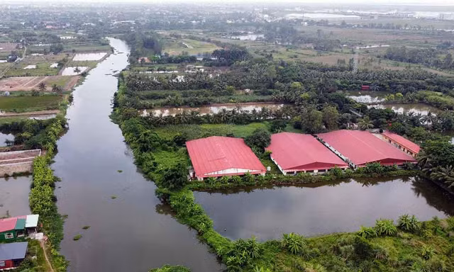 Toàn cảnh trang trại chăn nuôi xả trộm chất thải ra sông Họng gây ô nhiễm ở quận Đồ Sơn, TP Hải Phòng.