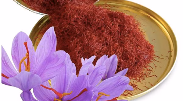 Tác dụng thực sự của saffron - thứ gia vị đắt hơn vàng ròng