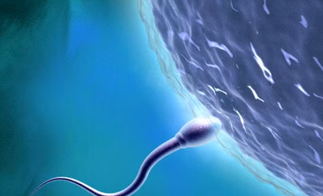 Nam giới sinh con muộn, tinh trùng dễ ‘đột biến’