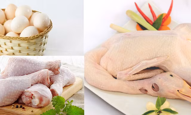 Thực phẩm bệnh nhân ung thư nên ăn