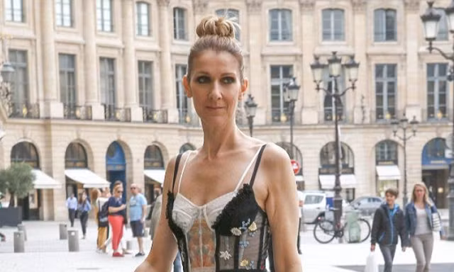 Celine Dion sành điệu với váy lấy cảm hứng từ nội y