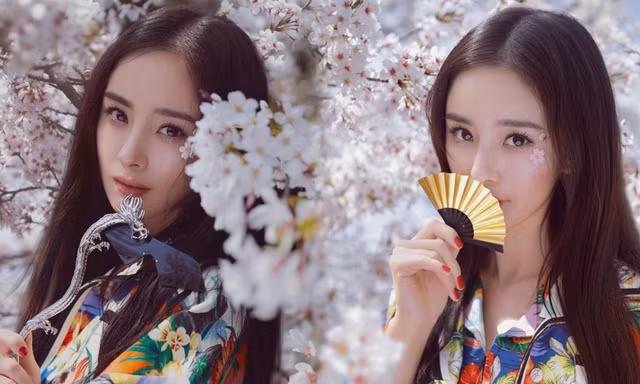 Dương Mịch lung linh tựa tiên nữ giữa vườn hoa anh đào