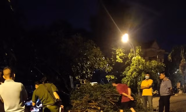 Cây xanh bật gốc đè chết người trong mưa dông