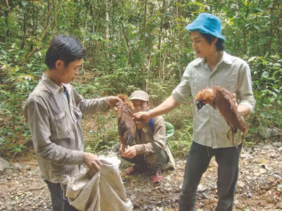 Nghiệt ngã kiếp phu trầm - Kỳ 7: Sống nơi rừng thẳm