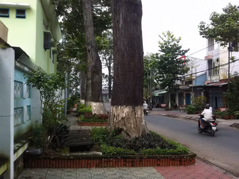 Cây và bồn hoa chiếm hết vỉa hè