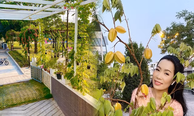 Phát 'sốt' với vườn cây xanh mướt trong biệt thự sang trọng của Trịnh Kim Chi