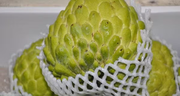 Xem quả na nặng hơn 1kg được bày bán tại Lạng Sơn