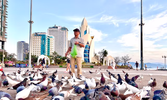 'Bảo mẫu' nuôi chim bồ câu ở Quảng trường 2/4 Nha Trang