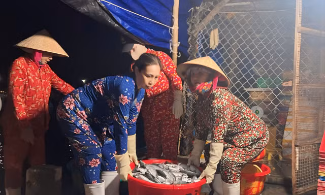 Tảo tần mưu sinh nơi cảng cá