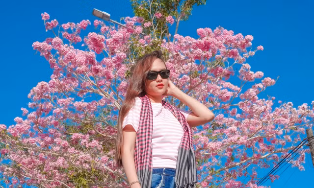 Vượt hơn 70 km đến check in cung đường nhuộm hồng đẹp như phim Hàn ở miền Tây