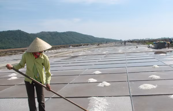 Diêm dân bỏ nghề