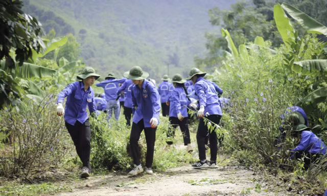 Nhiều sáng tạo trong Chiến dịch Thanh niên tình nguyện Hè 2020