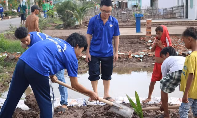 Sinh viên ĐH Tây Đô trồng dừa trên tuyến đường vào Nhà máy điện gió Bạc Liêu
