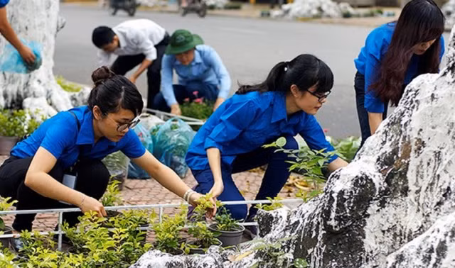 Tháng 4/2015, hàng trăm thanh niên tình nguyện của Thành đoàn Hà Nội ra quân trồng cây trang trí trên dọc tuyến đường Bà Triệu (Hoàn Kiếm, Hà Nội). Theo đó, các cây sẽ được quây rào cứng và trồng hoa phủ kín dưới gốc... ... biến phố Bà Triệu trở thành "tu