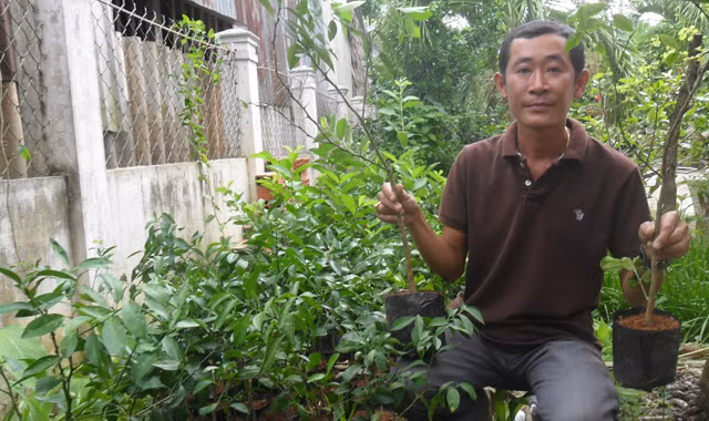 Anh Lê Ngọc Khương bên cạnh vườn ươm chanh không hạt