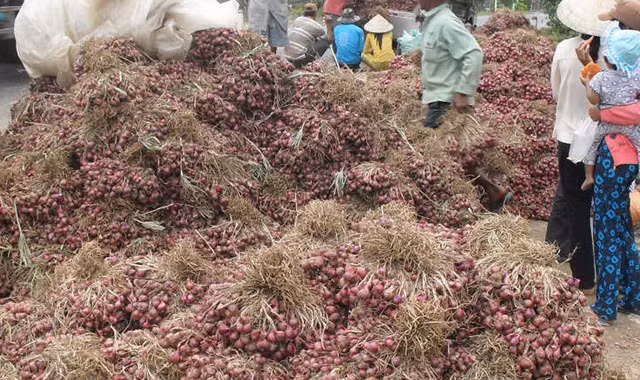 Hành tím tồn đọng trong dân. Ảnh: Ngọc Duyên