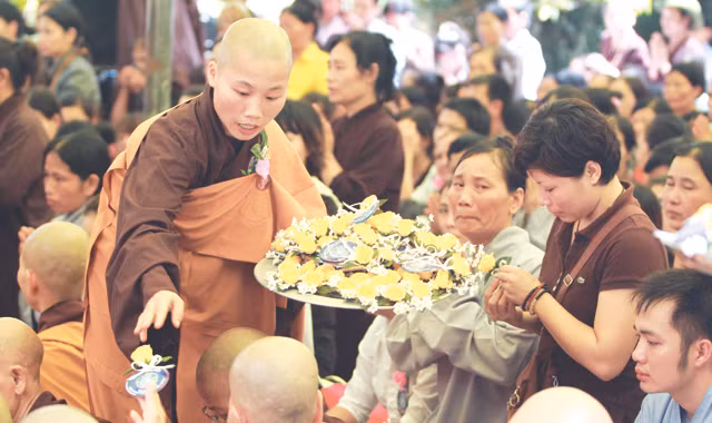 Hoa hồng và nước mắt. Ảnh: N.M.Hà