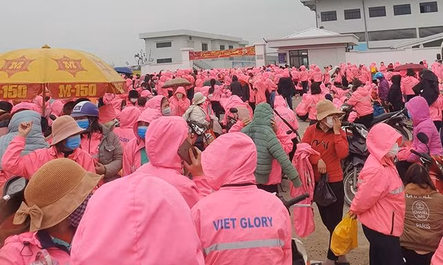 Tổng Liên đoàn: 'Không để xảy ra tình trạng ngừng việc tập thể kéo dài, lây lan'