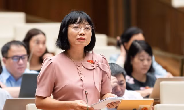 Đại biểu Quốc hội: 'Luật nào cũng đề nghị thành lập quỹ thì hiệu quả chưa cao'