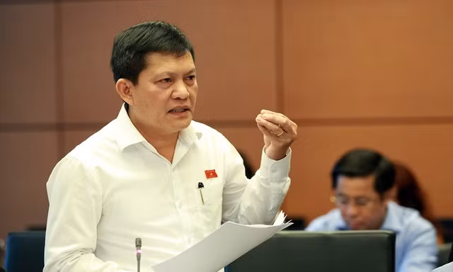 ĐBQH Phạm Phú Quốc khi phát biểu tại phiên họp tổ, đoàn TPHCM