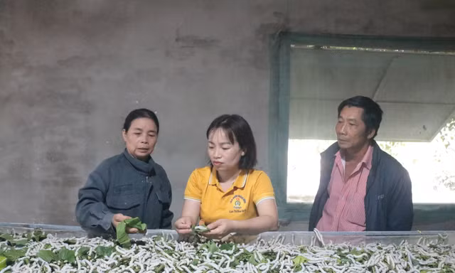 Đa cây, đa con giúp bà con vùng sâu phát triển kinh tế