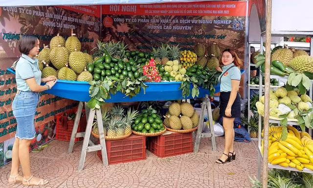 Hội nông dân Đắk Lắk kêu gọi xóa bỏ thói quen 'rau 2 luống, lợn 2 chuồng'