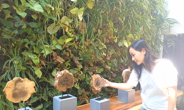 Nét đẹp Buôn Ma Thuột xưa được in độc bản trên gỗ cà phê 30 năm tuổi