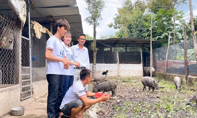 'Hạt giống đỏ' thi khởi nghiệp, khởi sự kinh doanh tỉnh Đắk Lắk năm 2024