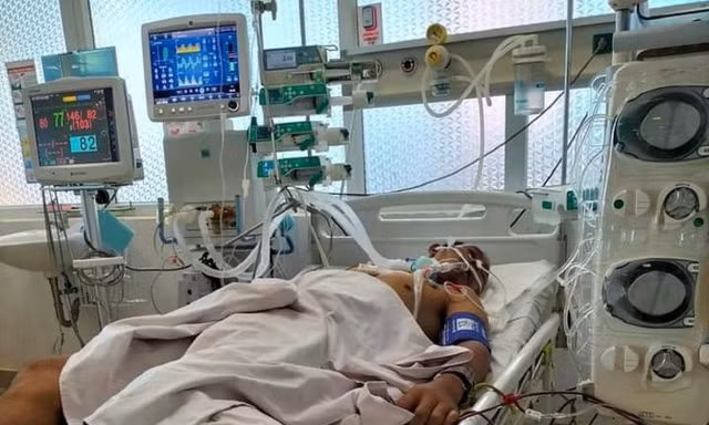 Hái nấm lạ trên rẫy về ăn, một người nguy kịch