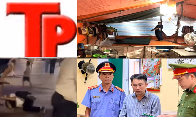 Bản tin Hình sự: Nguyên nhân bé gái 17 tháng tuổi tử vong sau khi được bố gửi đi trông