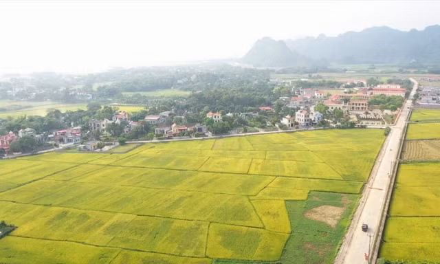 Đề xuất thu hồi loạt 'sổ đỏ' liên quan đến đất nông nghiệp sai quy định ở Ninh Bình
