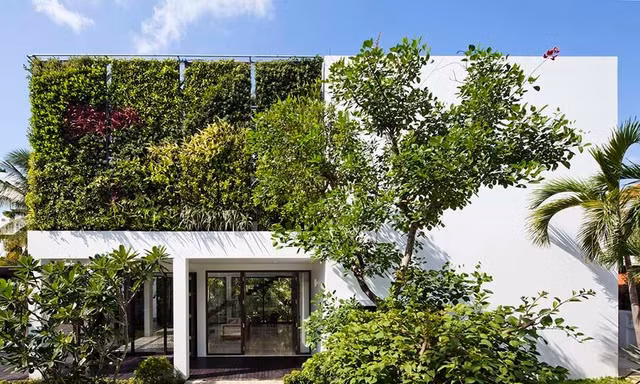 Biệt thự cũ đẹp như resort sau cải tạo, tràn ngập cây xanh ai nhìn cũng mê