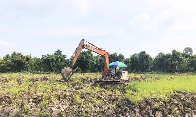 Đồng Tháp và Long An được chuyển mục đích sử dụng đất lúa diện tích lớn
