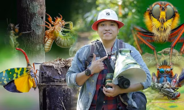 Ngắm khoảnh khắc đẹp kỳ ảo của côn trùng qua ống kính của nhiếp ảnh gia Hà thành