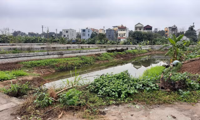 Một khu đất đấu giá tại huyện Đan Phượng, Hà Nội