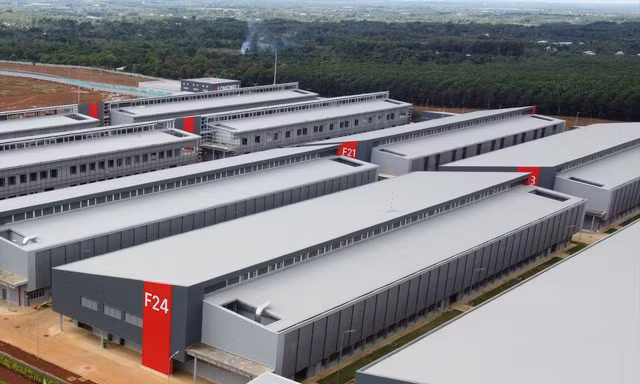 Cty TNHH Longwell liên tiếp lỗ trong 2 năm gần đây Ảnh: PV; đồ họa: Quốc Anh 