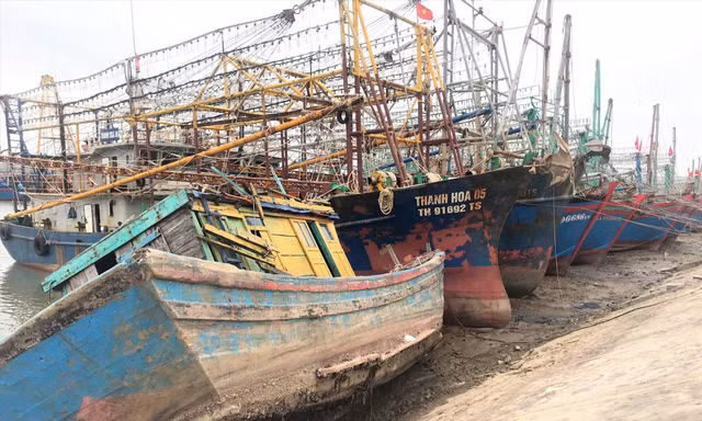 Không thể xoay xở trước giá xăng dầu tăng chóng mặt, hàng loạt ​​​​​tàu cá ở Nghệ An nằm bờ Ảnh: Cảnh Huệ