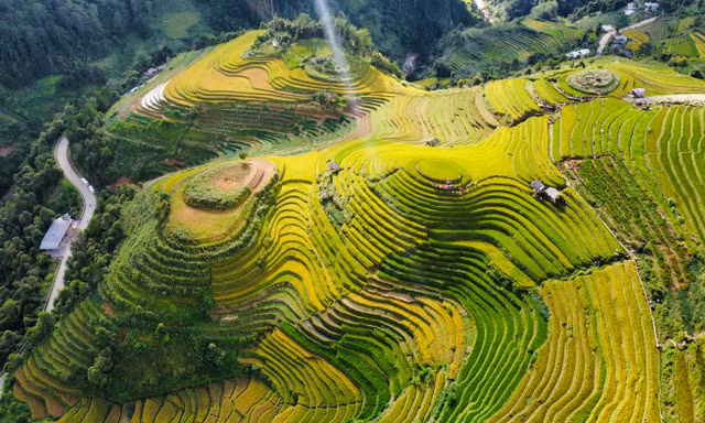 Chuyện chưa kể về biệt đội 'chim sắt'
