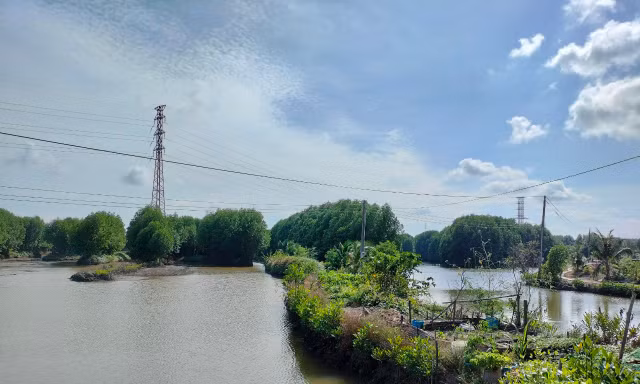 Nguyên Giám đốc, phó giám đốc Công ty lâm nghiệp Ngọc Hiển bị kiểm điểm