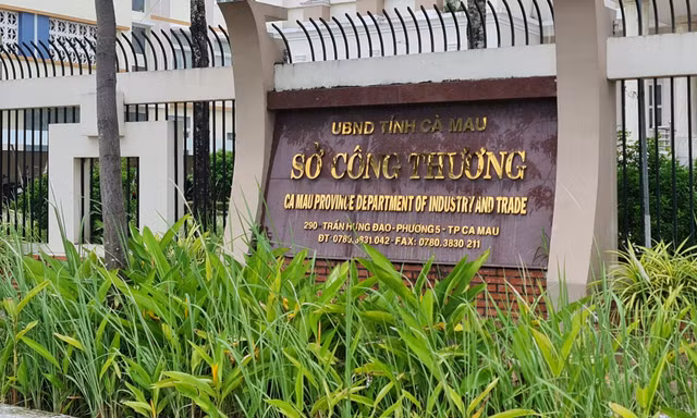 Hé lộ những vi phạm khiến nguyên Giám đốc Sở Công thương Cà Mau bị kỷ luật