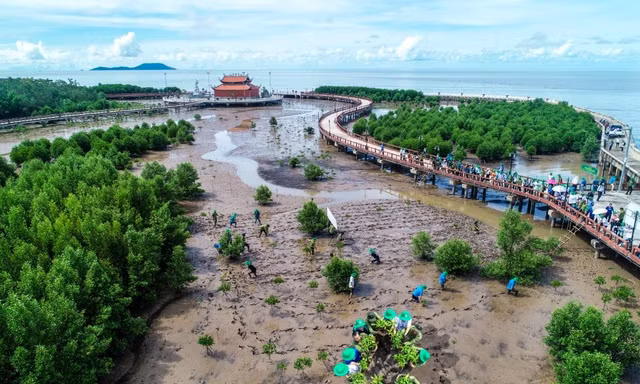 Vẻ đẹp Đất Mũi nhìn từ trên cao