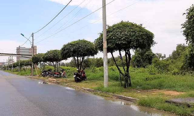 Khởi tố 2 nguyên phó chủ tịch huyện ở Bạc Liêu