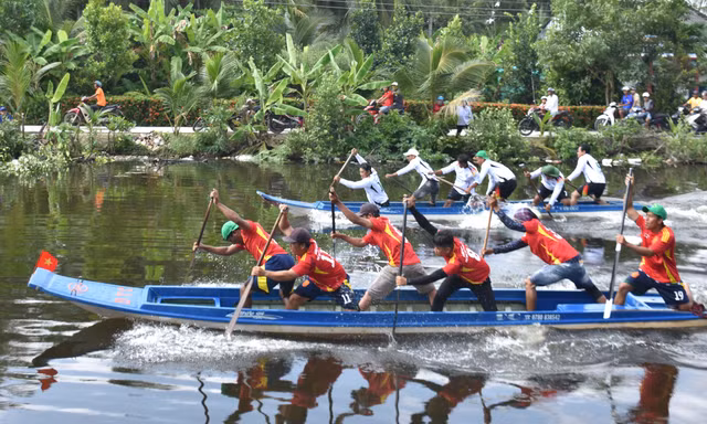 Đặc sắc giải đua vỏ lãi 