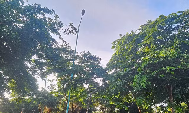 Dây điện đường Xuyên Á bị mất trộm, chủ đầu tư... không còn cấp để kiểm điểm