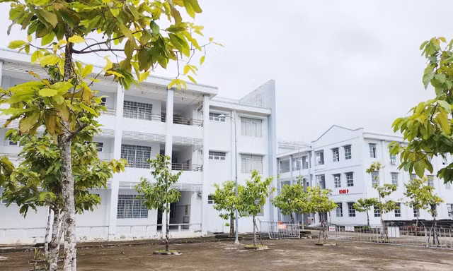 Kiến nghị kiểm điểm lãnh đạo Sở Y tế Bạc Liêu, chuyển hồ sơ công an liên quan đấu thầu