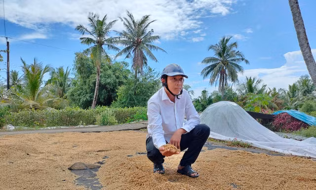 Cam kết giải phóng hàng nghìn tấn lúa Việt Nam ngon nhất thế giới bị ế