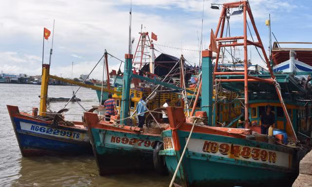Thuyền trưởng tàu cá bị tấn công bằng bom xăng, đạn chì: 'Họ rất manh động'