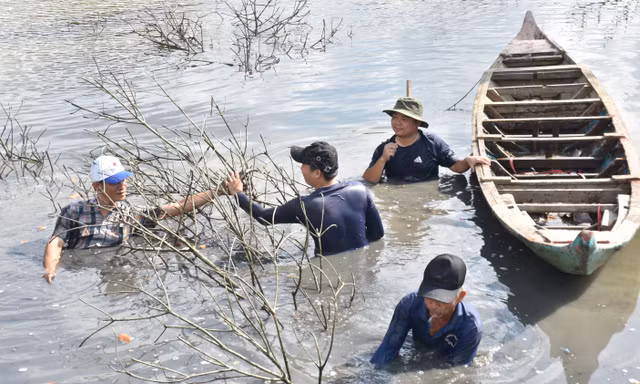 Về Đất Mũi xem nông dân dỡ chà bắt cá
