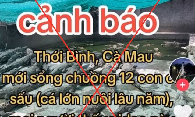 Truy tìm cá nhân đưa tin 12 con cá sấu xổng chuồng ở Cà Mau